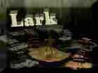 The Lark